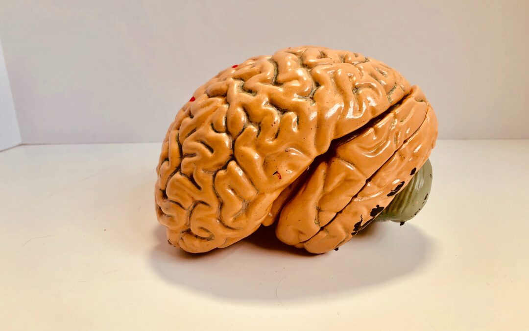 Artificial Intelligence: Week #43 | 2020